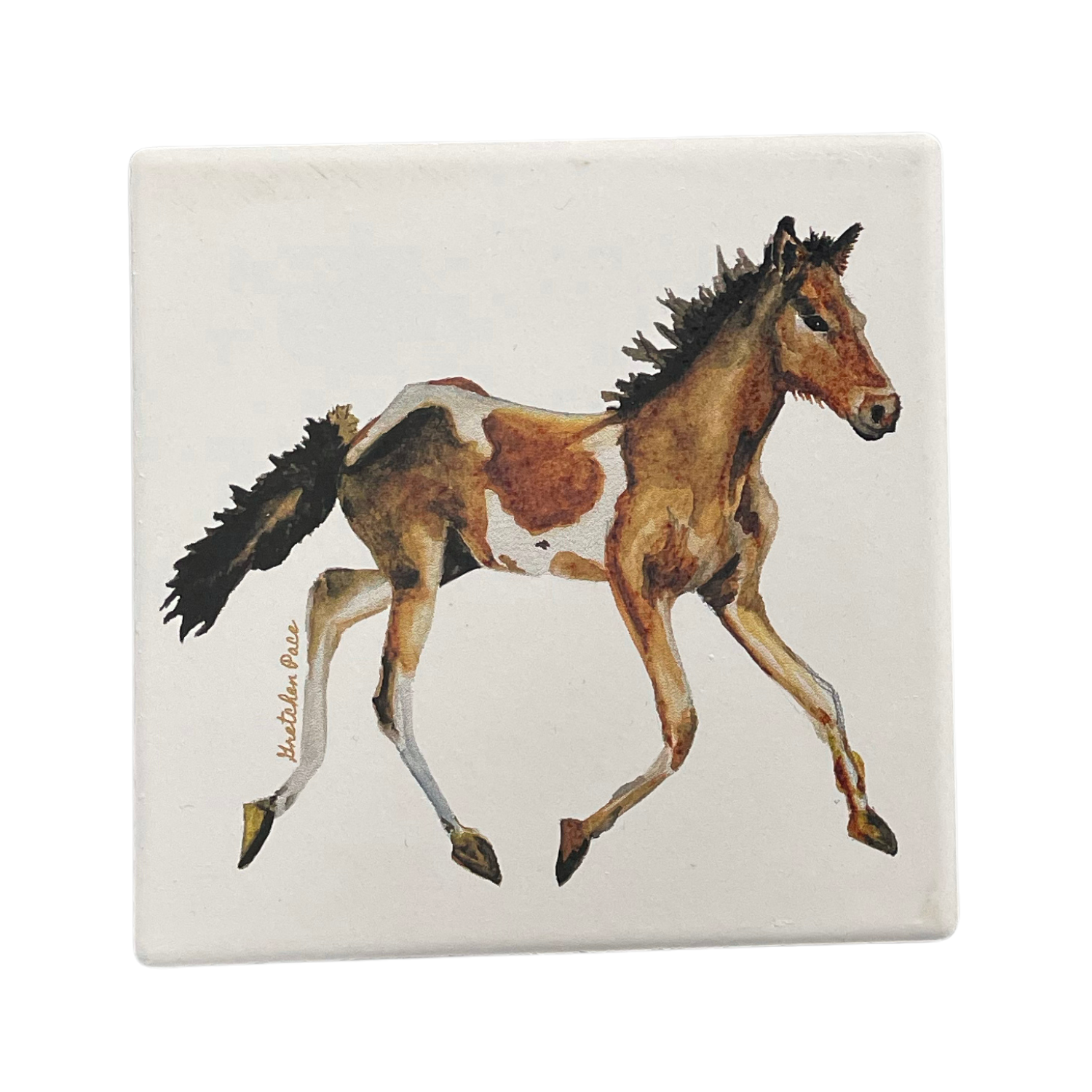 Stone Coaster - Pony (Square)