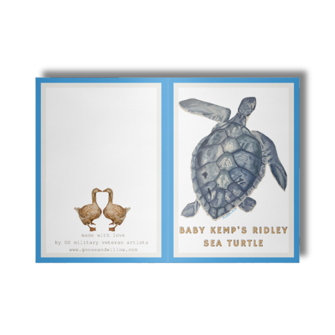 Greeting Card - Turtle with Blue Frame