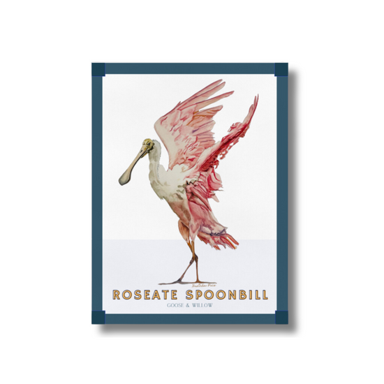 Poster - Roseate Spoonbill on Blue