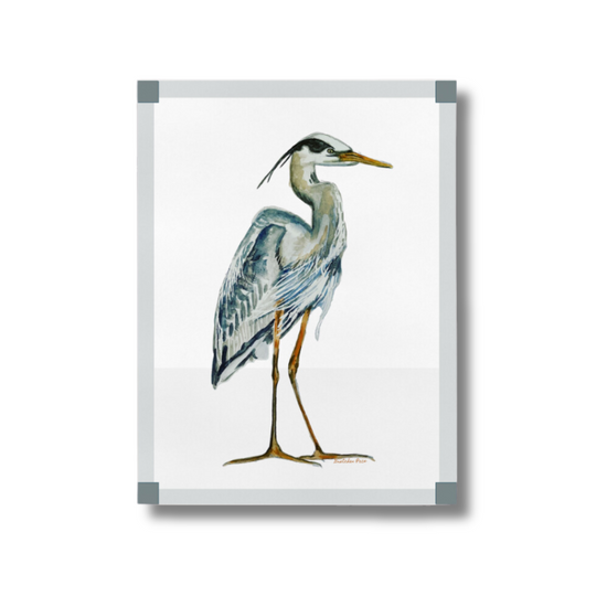 Poster - Great Blue Heron on White