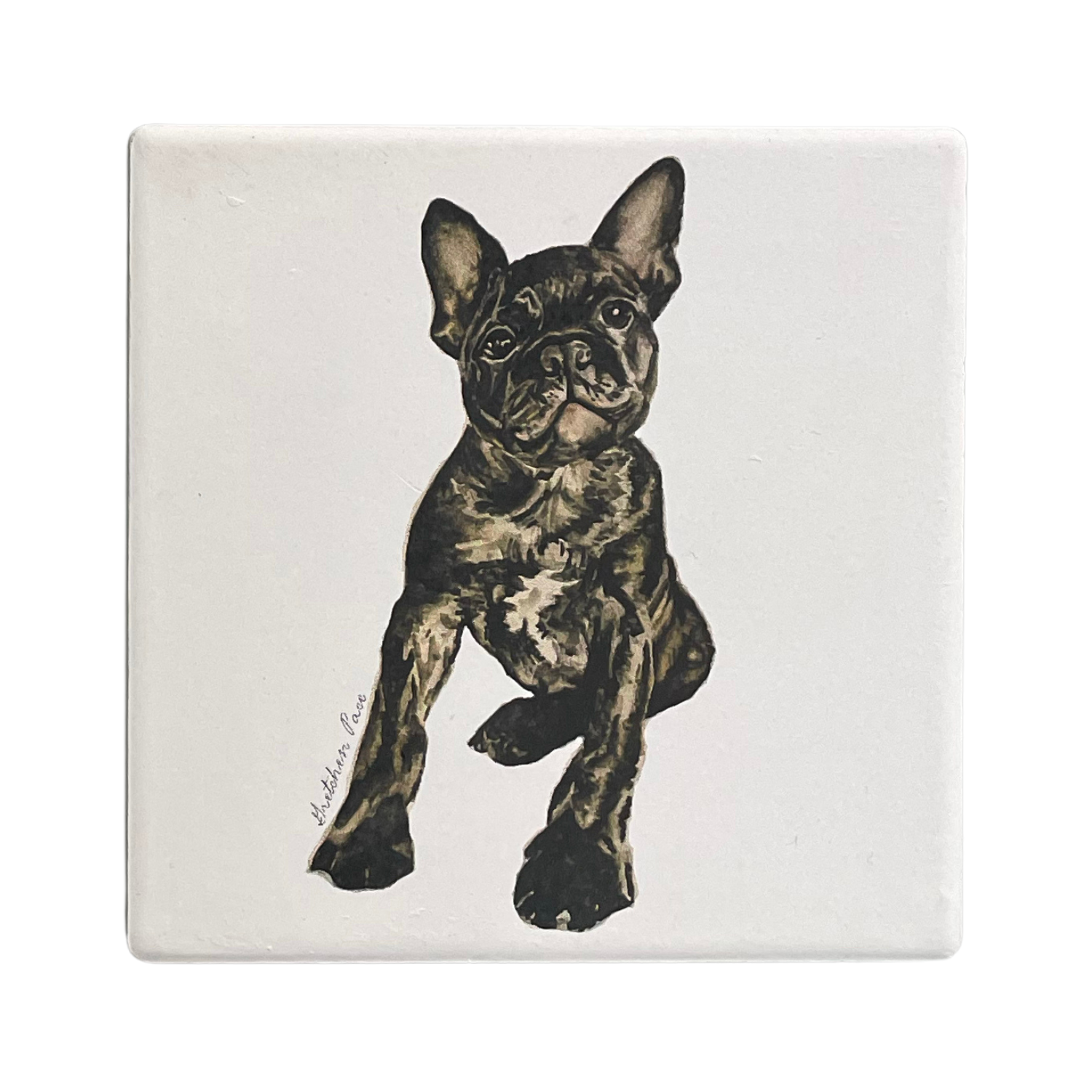 Stone Coaster - French Bulldog (Square)