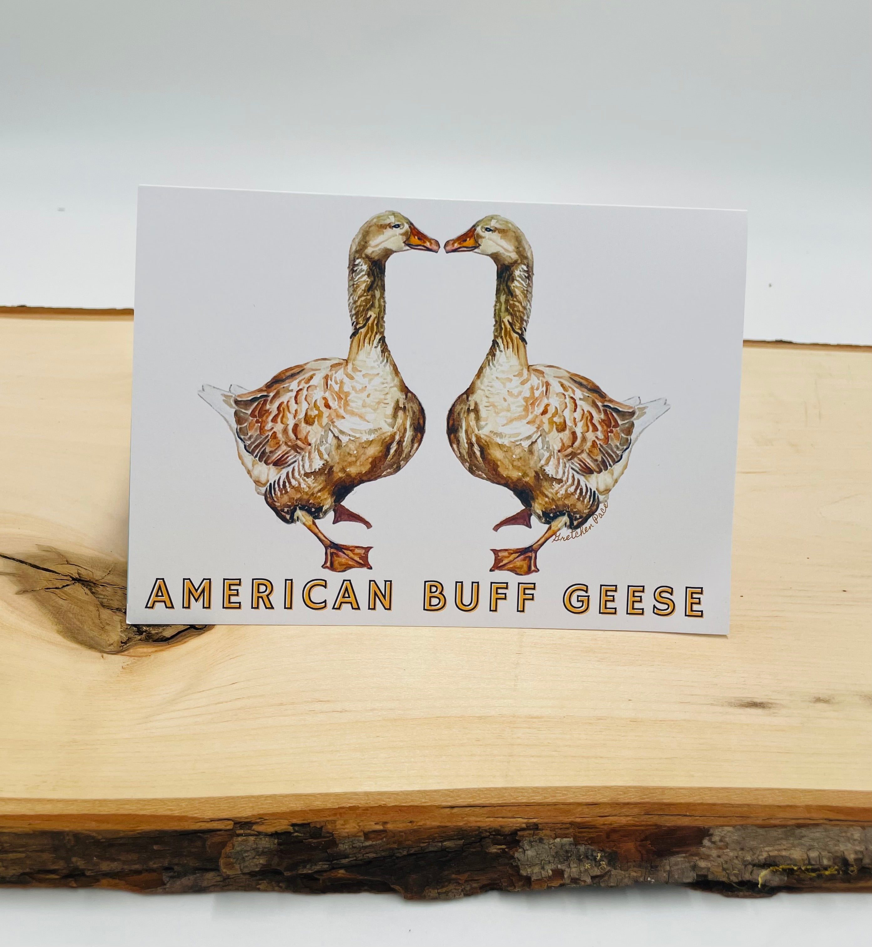 Greeting Card - Kissing American Buff Geese