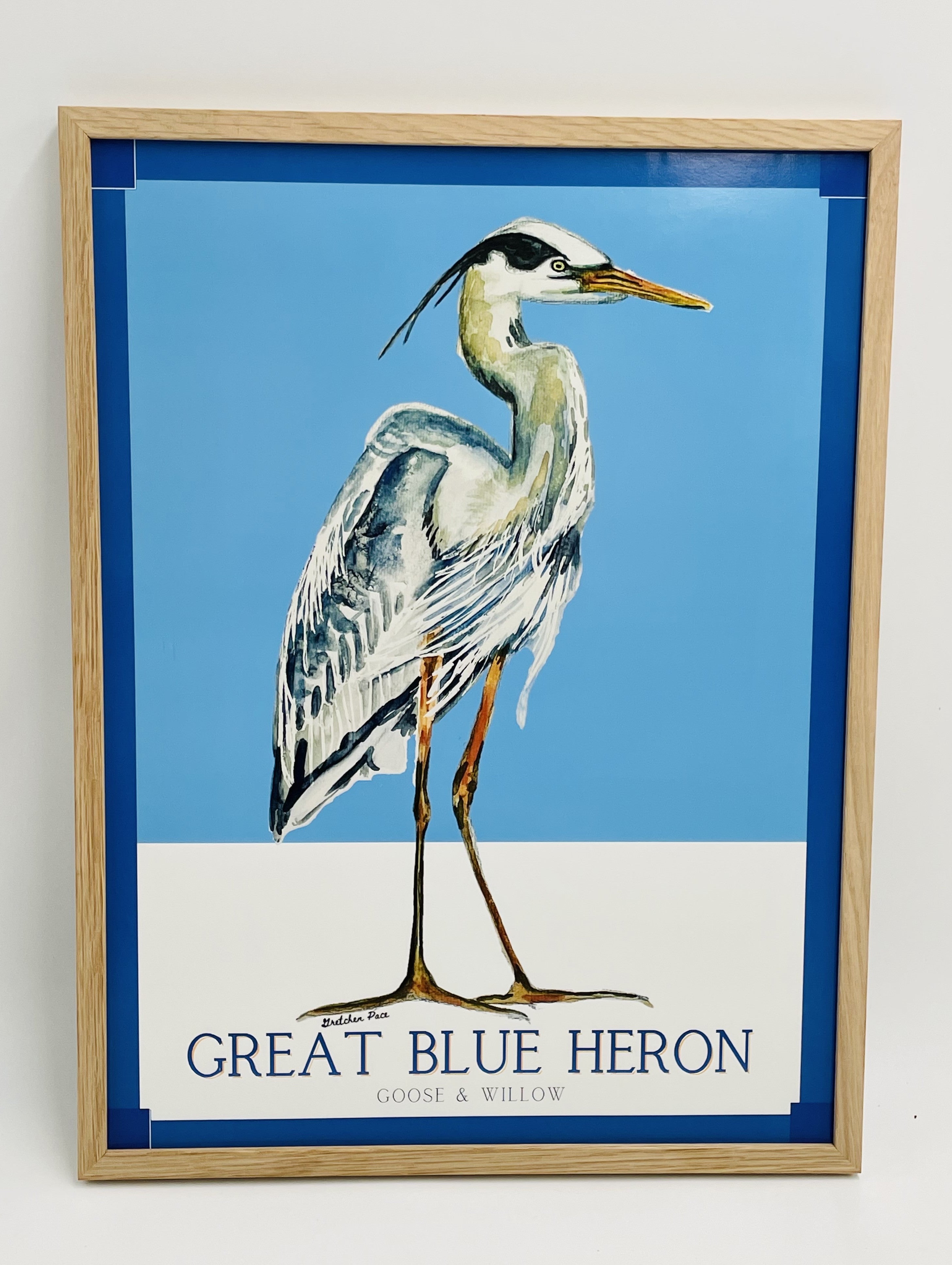 Poster - Great Blue Heron on Bright Blue