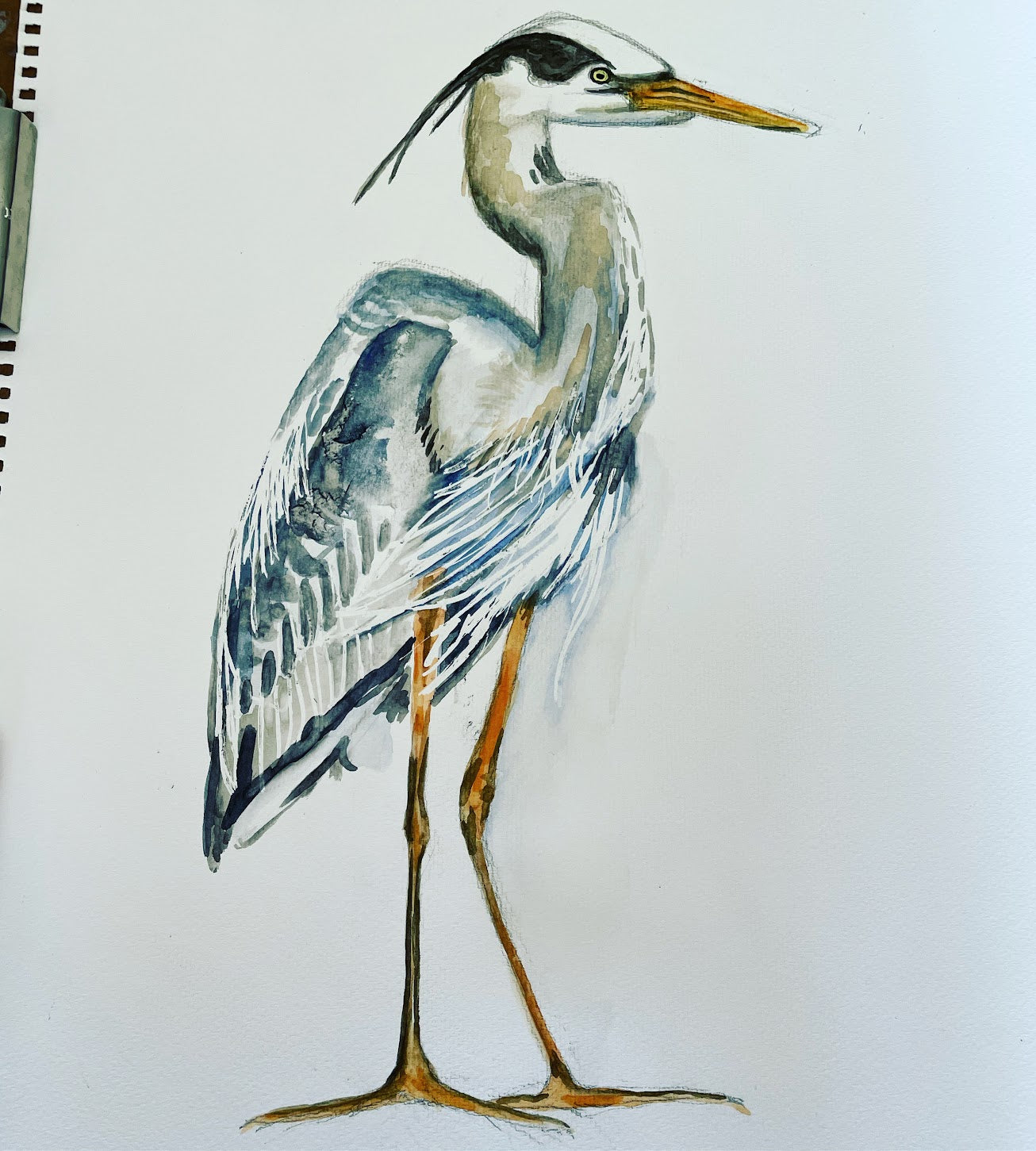 Poster - Great Blue Heron on Bright Blue