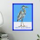 Poster - Great Blue Heron on Blue