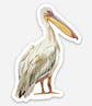 Vinyl sticker - Pelican