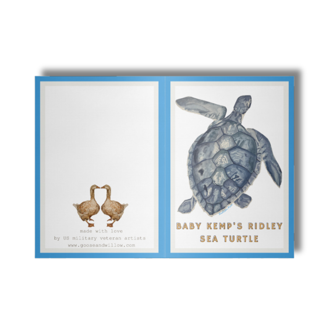 Greeting Card - Turtle