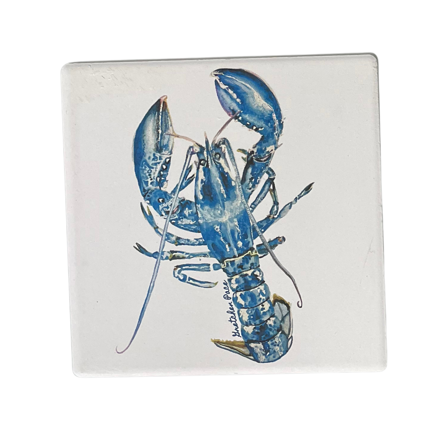 Stone Coaster - Lobster (Square)