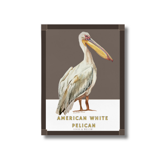 Poster - Pelican on Brown
