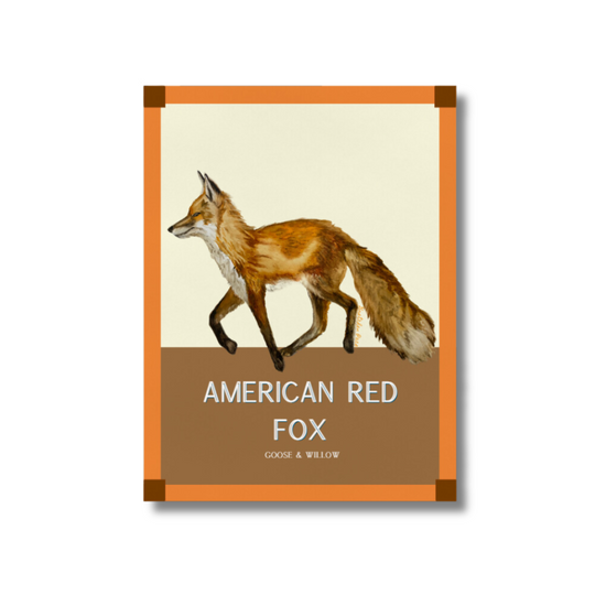 Poster - Fox on Orange