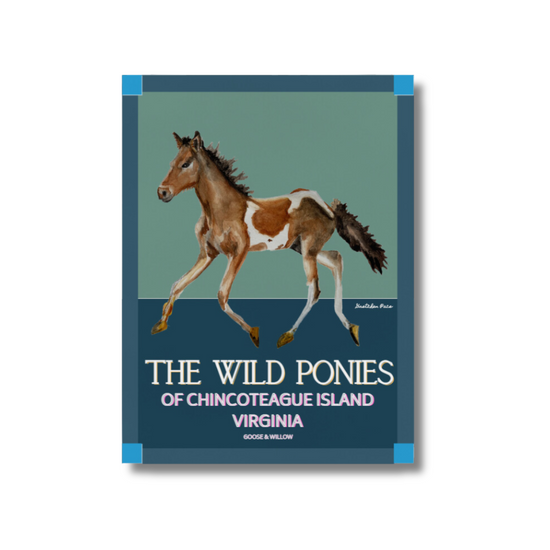Poster - Chincoteague Pony on Blue