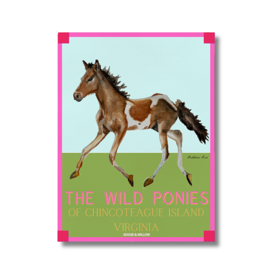 Poster - Chincoteague Pony on Pink