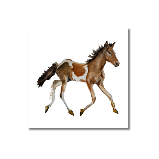 Canvas Print - Chincoteague Pony