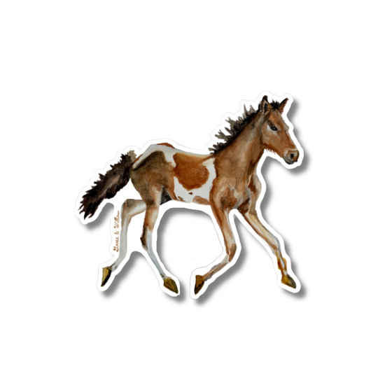 Vinyl sticker - Chincoteague Pony