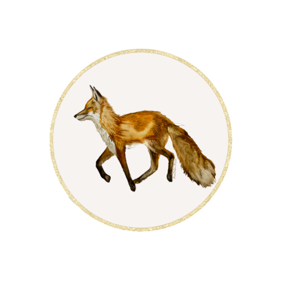 Paper Coaster Set - Fox (Set of 8)