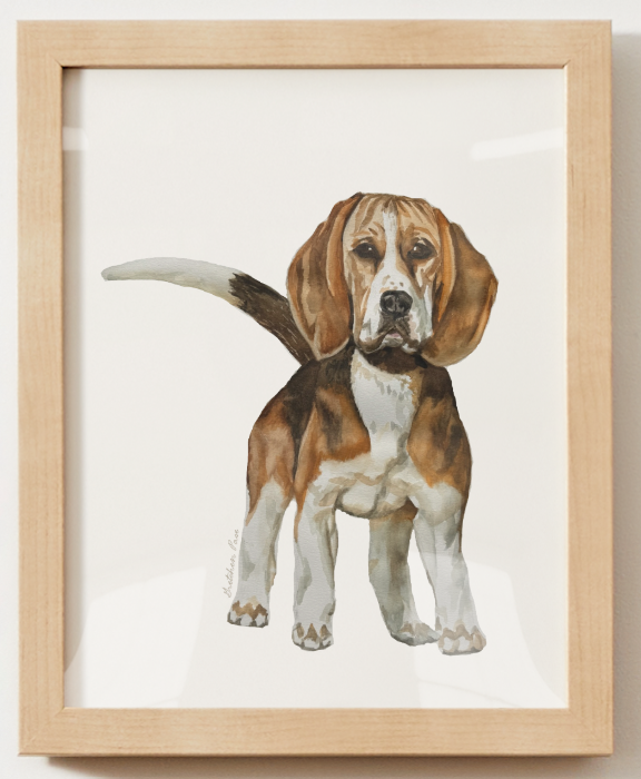 Poster - Beagle on White
