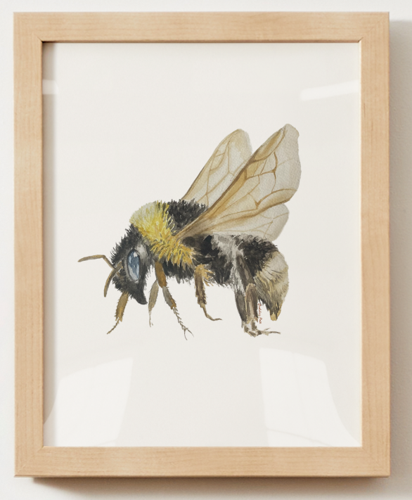 Poster - Bee on White