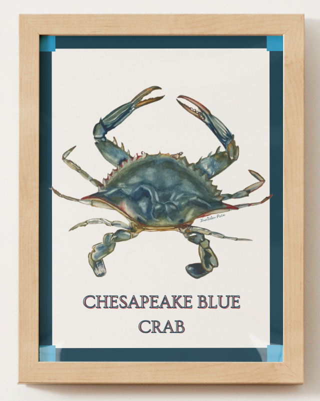 Poster - Crab on Blue