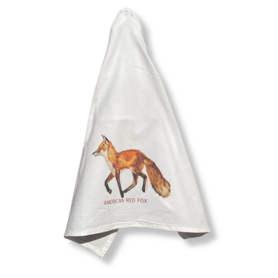 Flour Sack Towel - American Red Fox