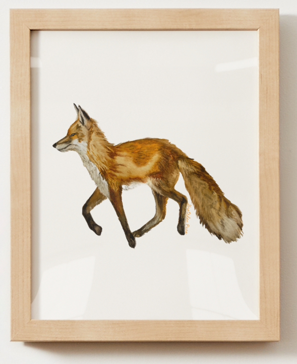 Poster - Fox on White