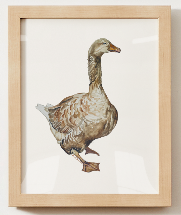 Poster - Goose on White