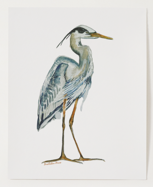 Poster -  Heron on White