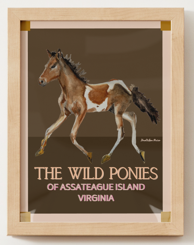 Poster - Assateague Pony on Brown