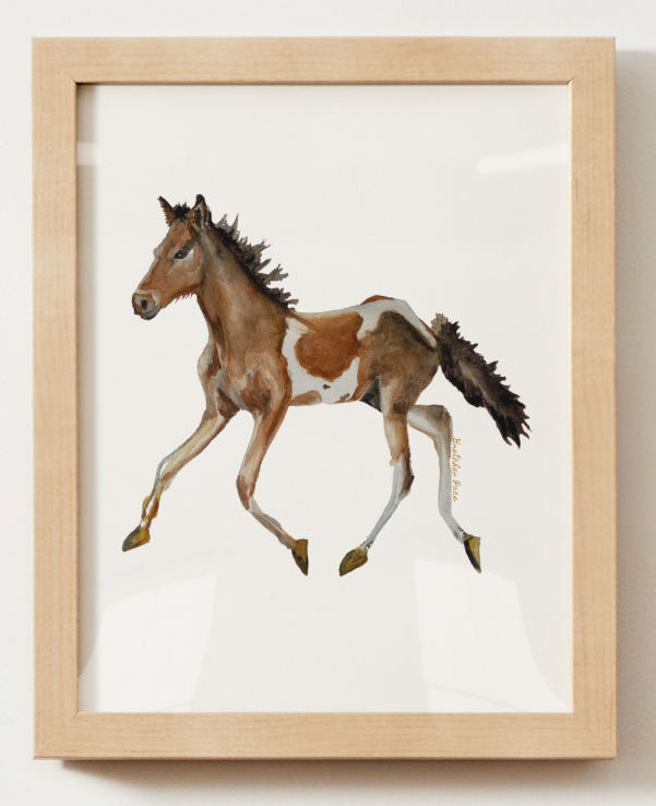 Poster -  Pony on White