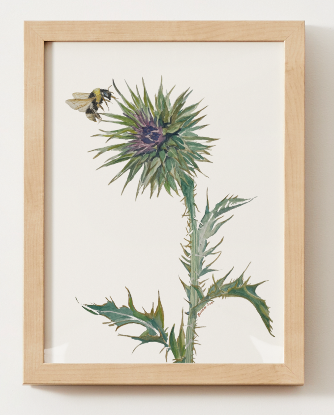 Poster - Thistle and Bee on White
