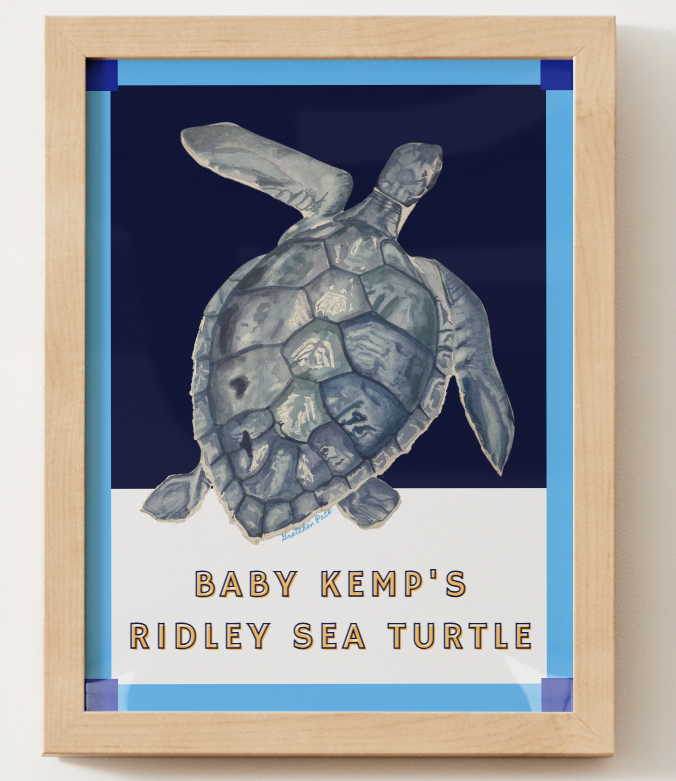 Poster - Sea Turtle on Blue