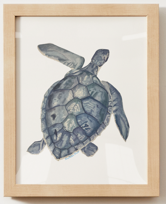 Poster - Turtle on White