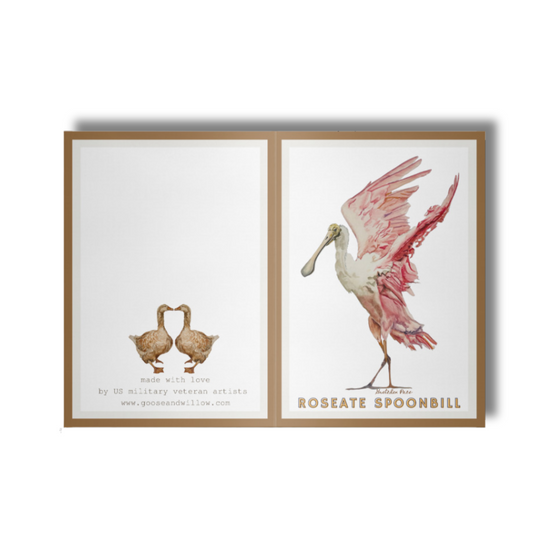 Greeting Card - Spoonbill
