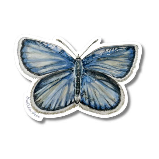 Vinyl sticker - Karner Blue Butterfly