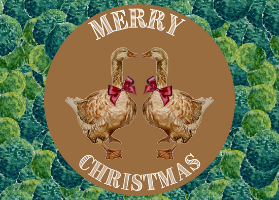Christmas Card - Goose on Box Bush