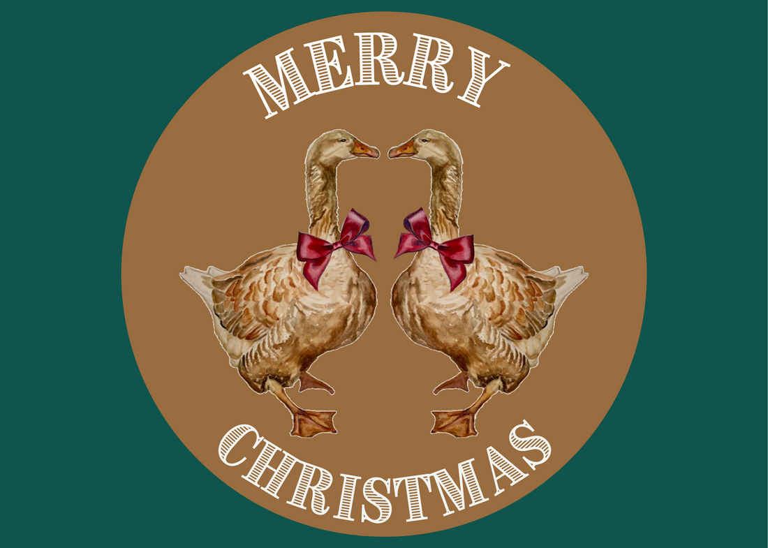 Christmas Card - Goose on Brown