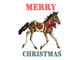 Christmas Card - Pony Merry Christmas