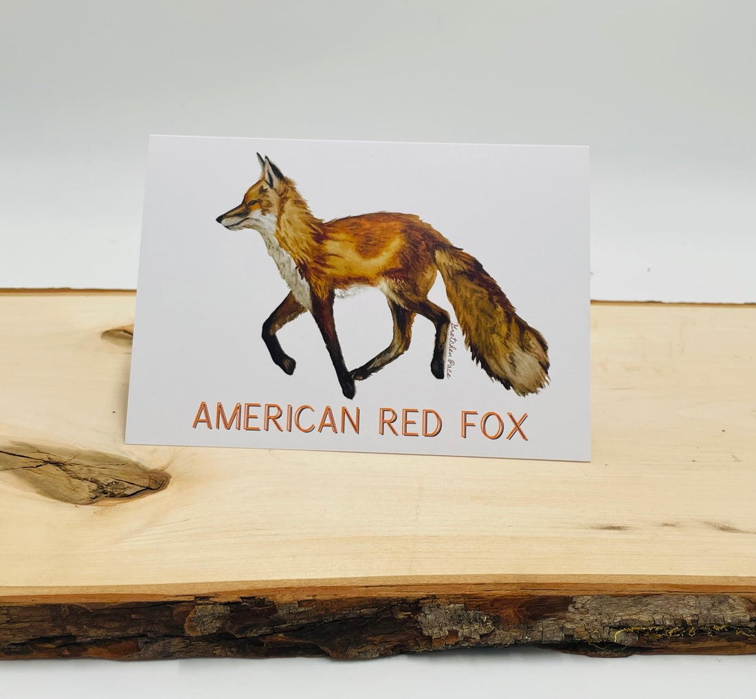 Greeting Card - Fox