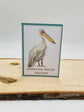 Greeting Card - Pelican
