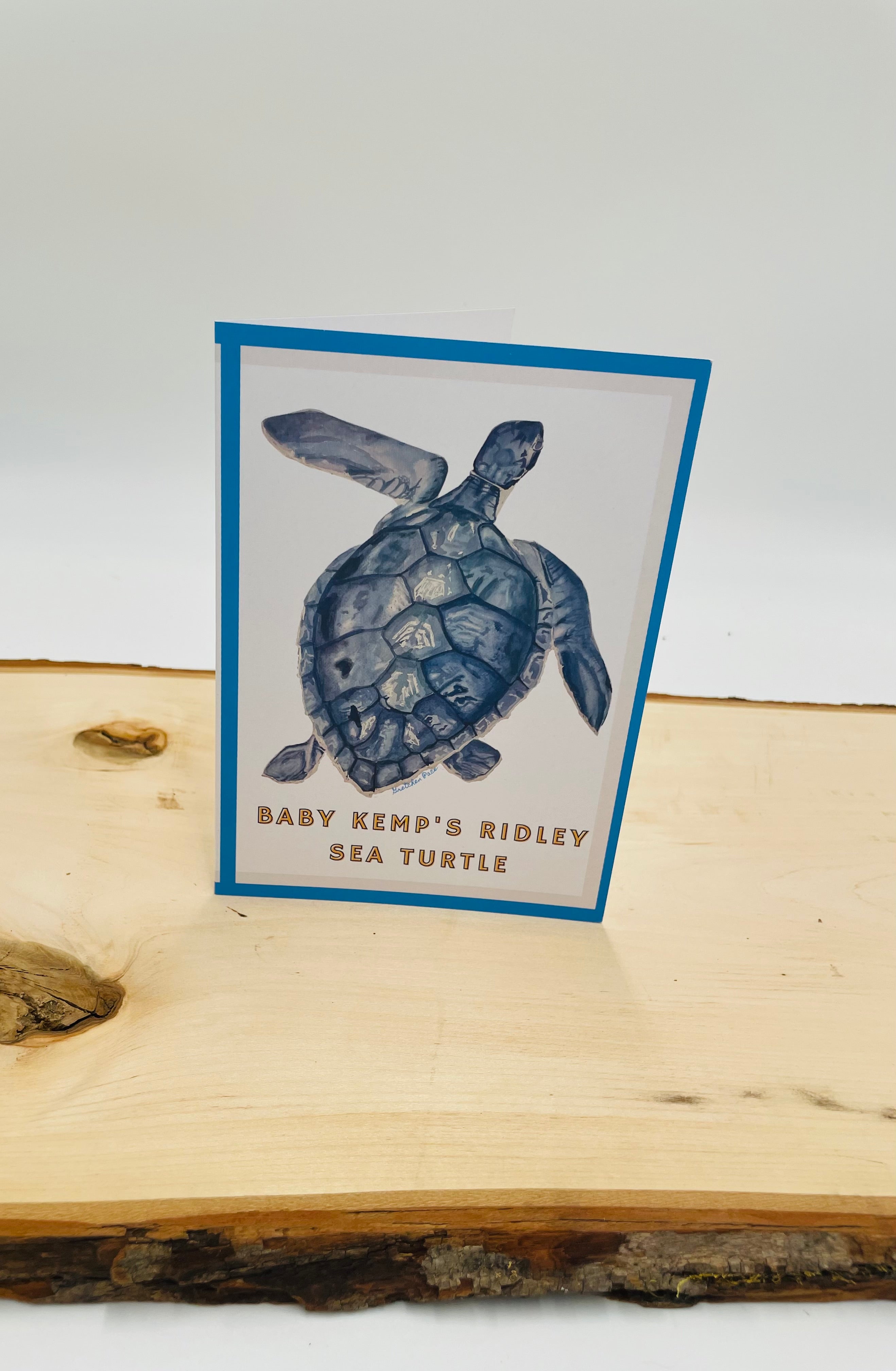 Greeting Card - Turtle