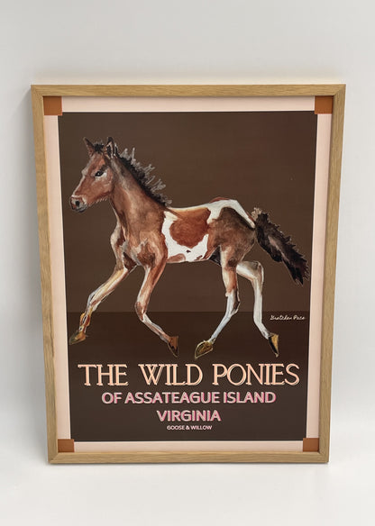 Poster - Assateague Pony on Brown