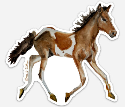 Vinyl sticker - Chincoteague Pony