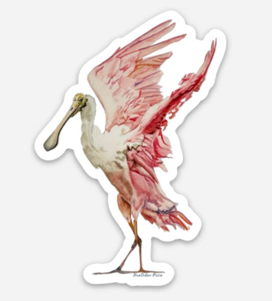 Vinyl sticker - Roseate Spoonbill